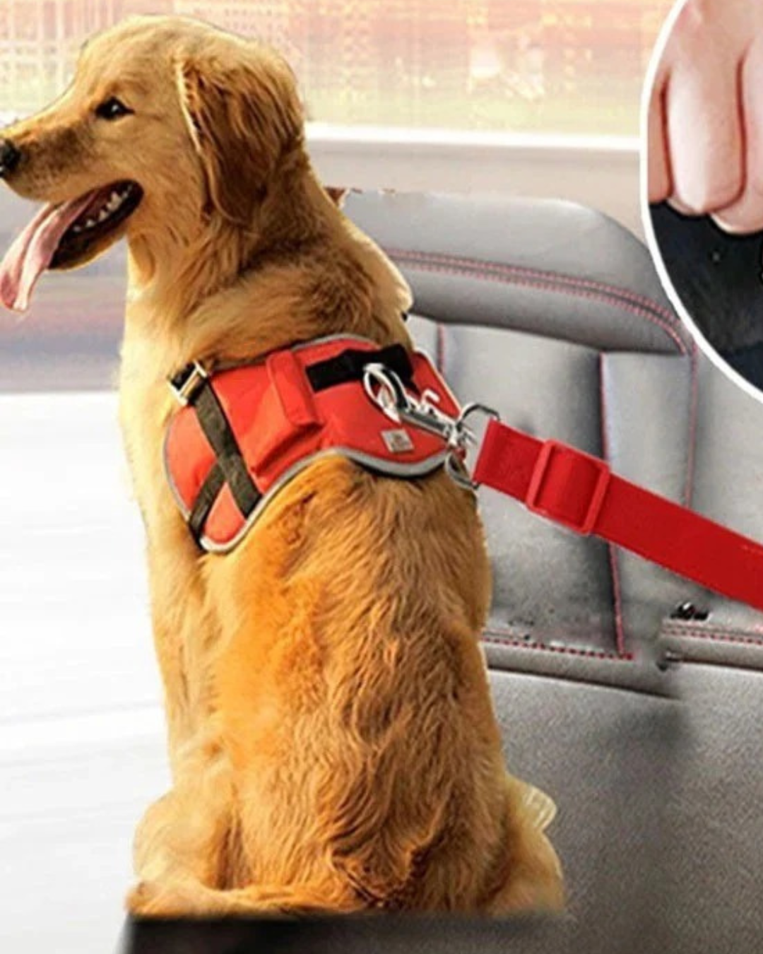 Cinto de Segurança Do Carro Corda de Tração telescópica Para Animais de Estimação