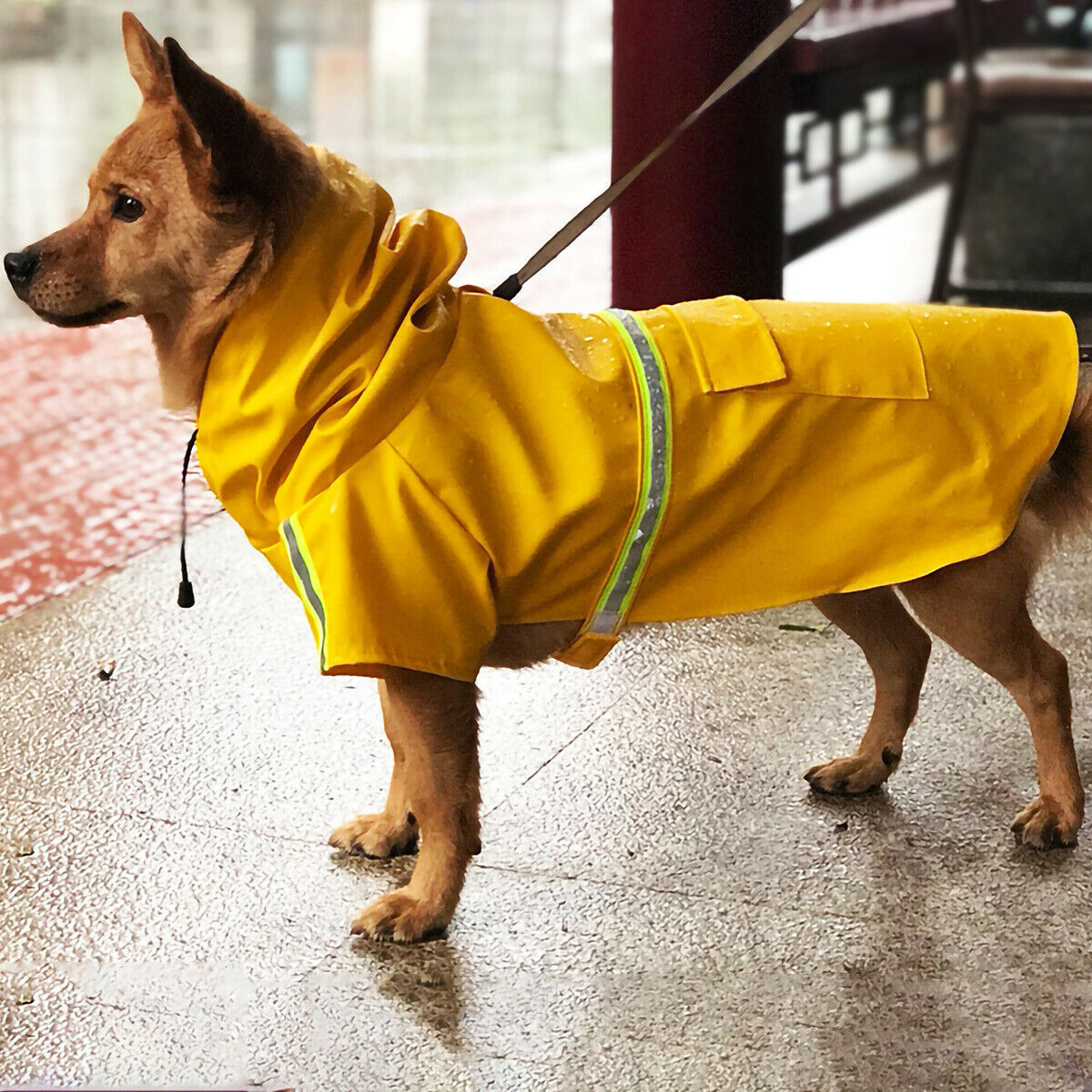 Capa de chuva para cachorro, capa de chuva impermeável para cachorro com faixa refletiva de segurança, poncho com capuz e coleira para cachorros
