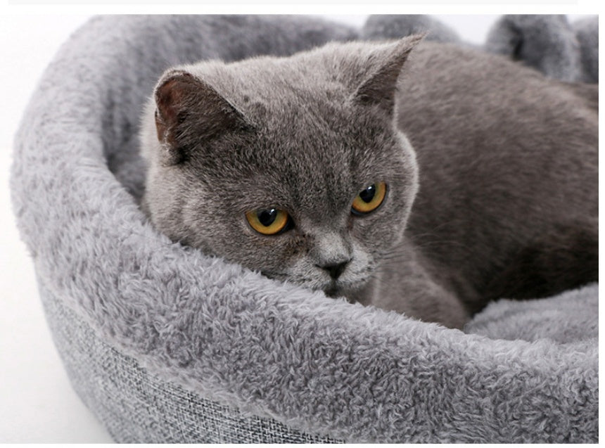 Cama macia e aconchegante gatos