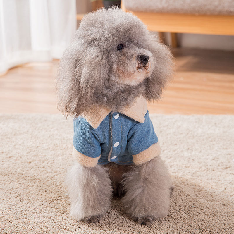 Roupas quentes e grossas para animais de estimação