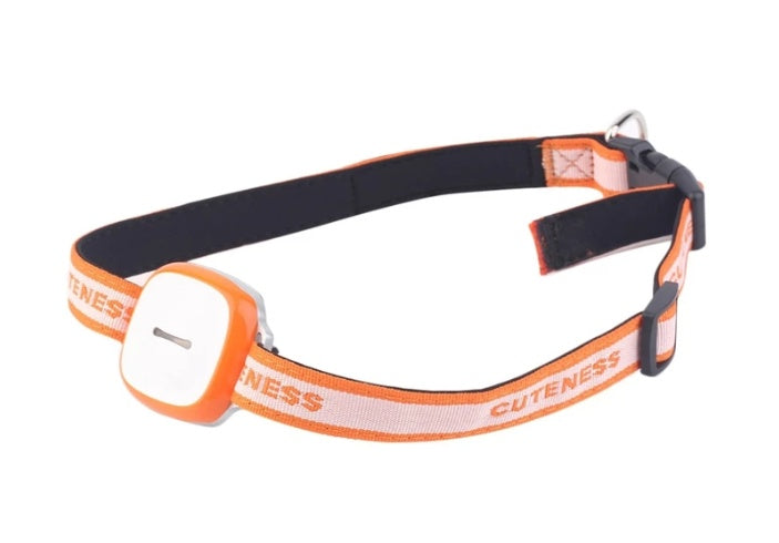 Localizador GPS de animais de estimação USB