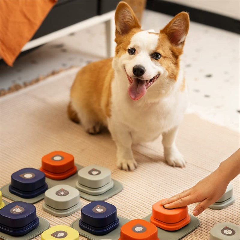 Botão de comunicação para animais de estimação de 4 cores, com um clique, evita a inatividade física, botão de conversação para cães e gatos, brinquedo para animais de estimação