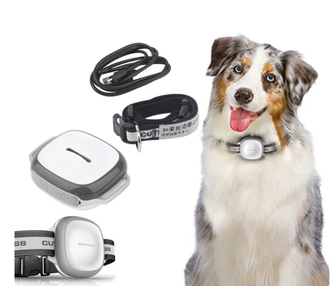 Localizador GPS de animais de estimação USB