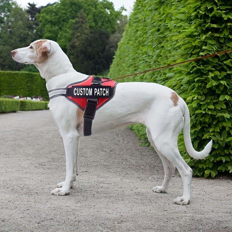 Arreio Refletivo Personalizável para Cães - Anti-Fuga, Colete de Peito Ajustável para Animais de Estimação com Nome e Número de Telefone Personalizados