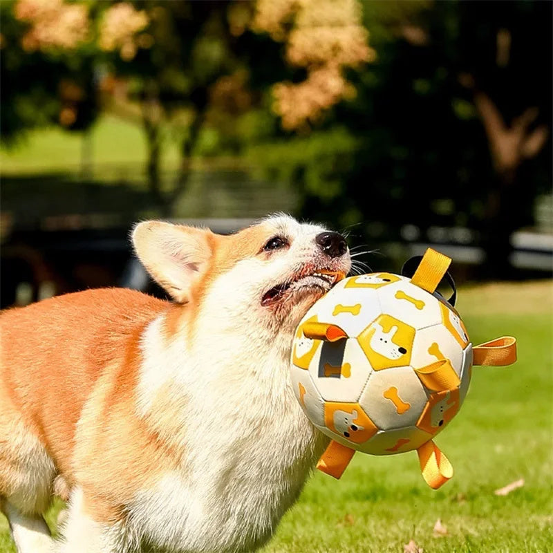 Brinquedos interativos para cães, bolas de futebol para crianças, treinamento ao ar livre, pet, mordida esportiva, mordedor, bola com estampa fofa