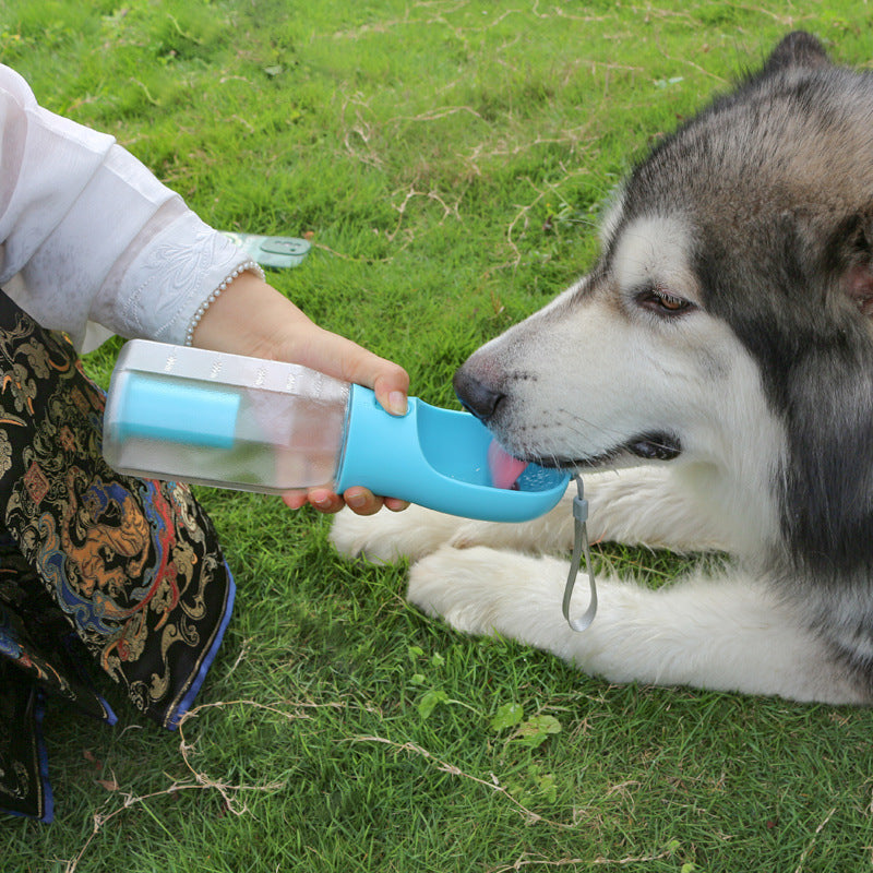 Garrafa de água portátil para cães e gatos