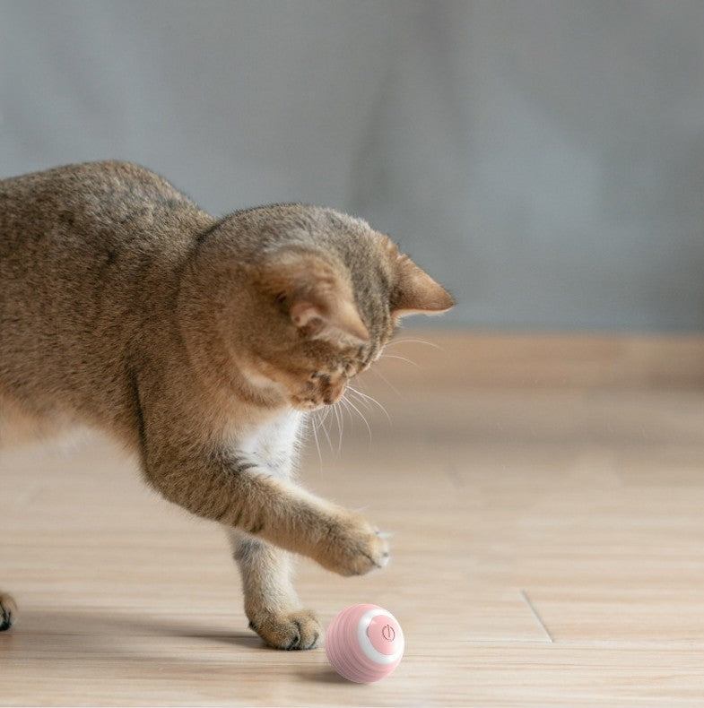 Bola de brinquedo inteligente para gatos, bola de brinquedo com movimento automático e quicante para gatinhos dentro de casa