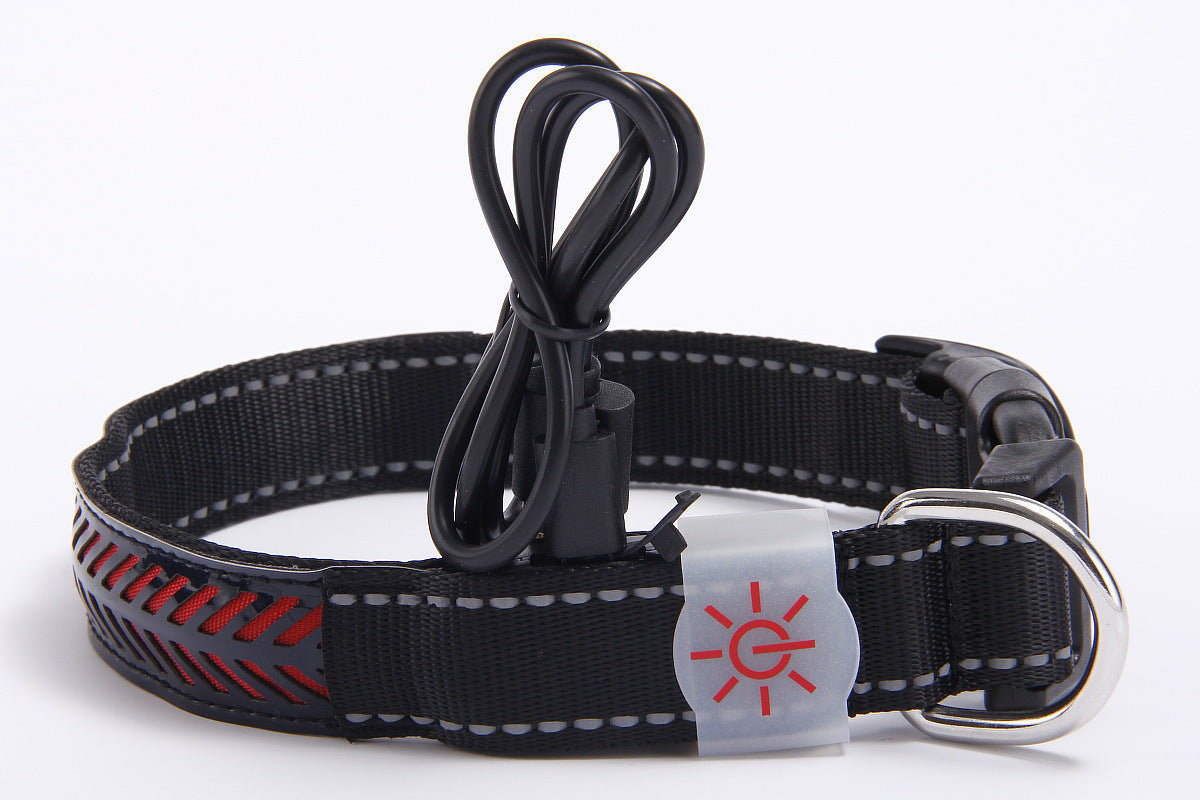 Coleira de couro gravada com LED luminoso para cães de estimação