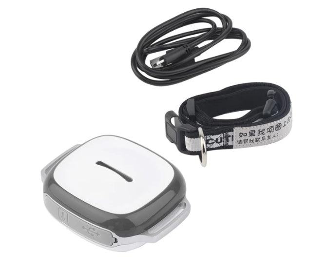 Localizador GPS de animais de estimação USB