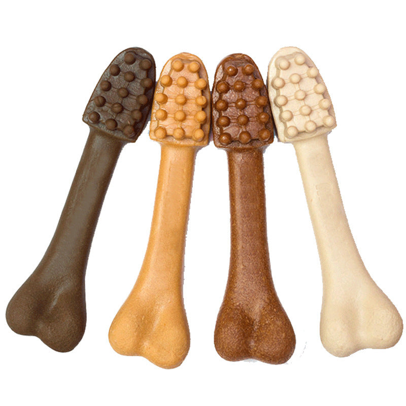 Snacks para cães
