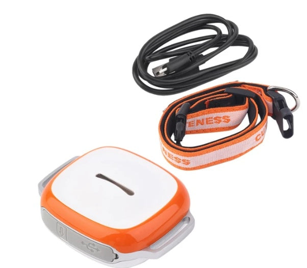 Localizador GPS de animais de estimação USB
