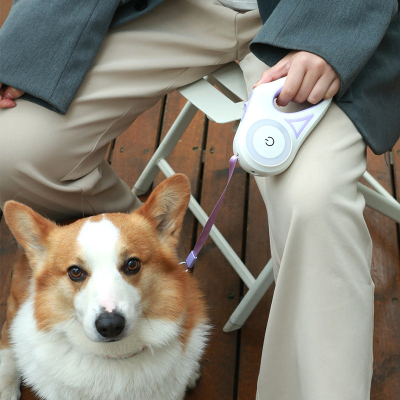 Coleira retrátil para cães com holofote automático