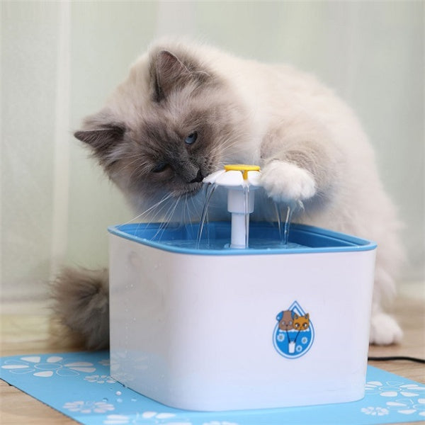 Dispensador automático de água