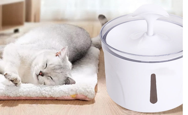 Dispensador de água para animais de estimação, filtro circulante automático inteligente