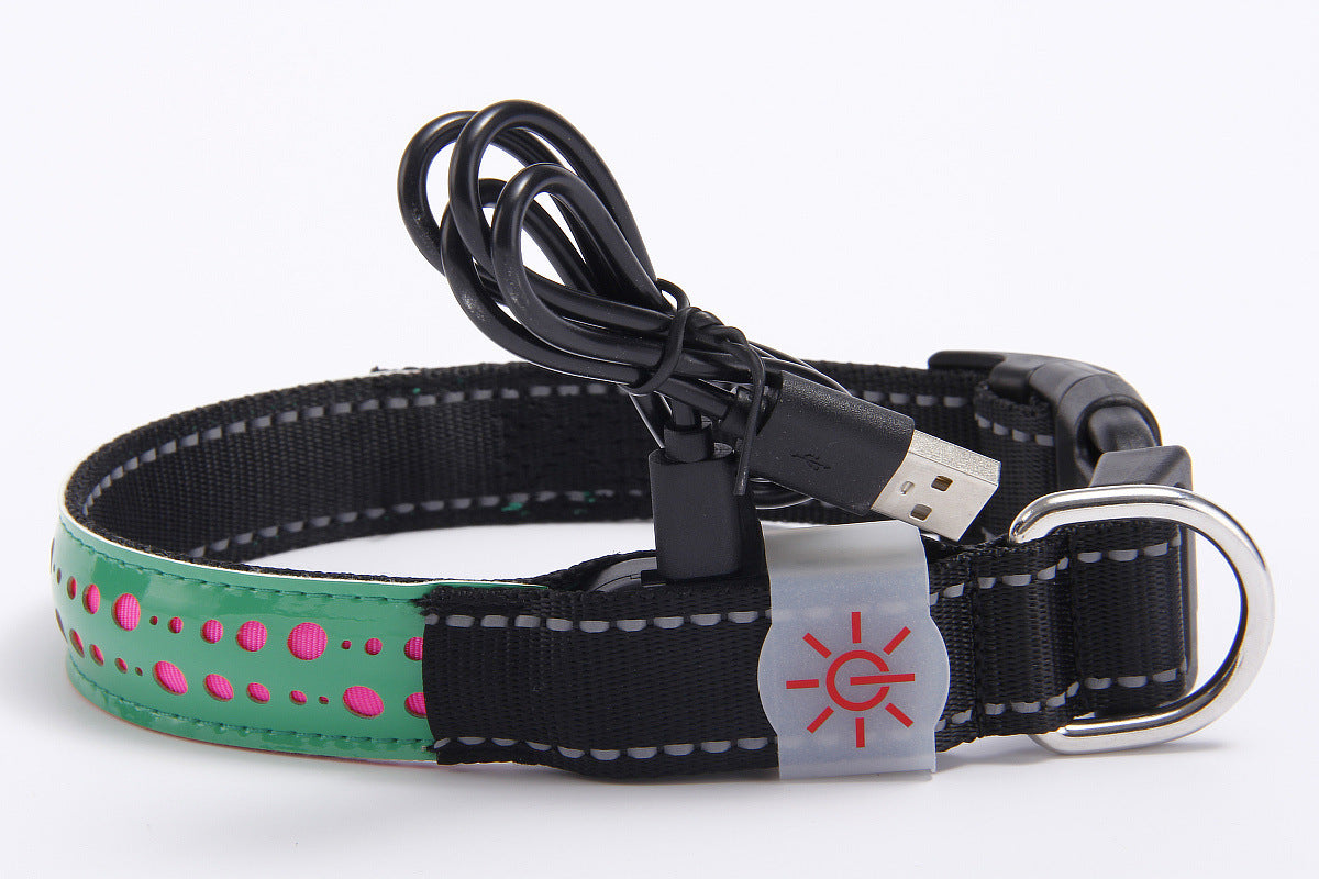 Coleira de couro gravada com LED luminoso para cães de estimação