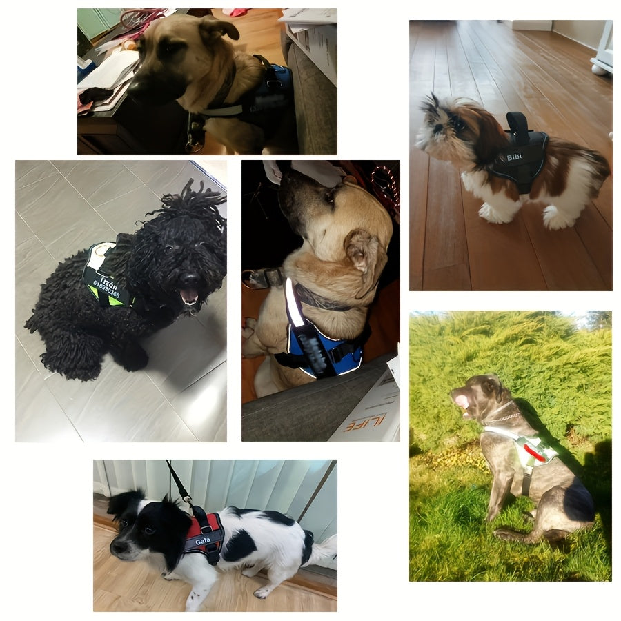 Arreio Refletivo Personalizável para Cães - Anti-Fuga, Colete de Peito Ajustável para Animais de Estimação com Nome e Número de Telefone Personalizados