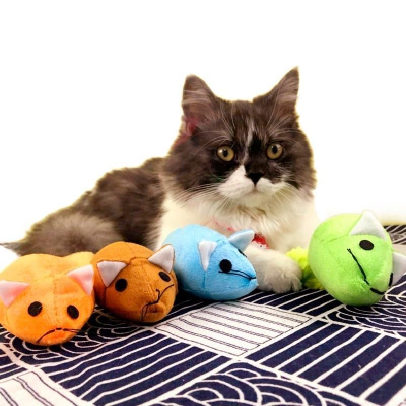 Brinquedos de provocação para gatos e ratos de cauda longa, brinquedos engraçados para animais de estimação, brinquedos para gatos, treinamento de ratos, brinquedos engraçados para brincar, produtos interativos para animais de estimação