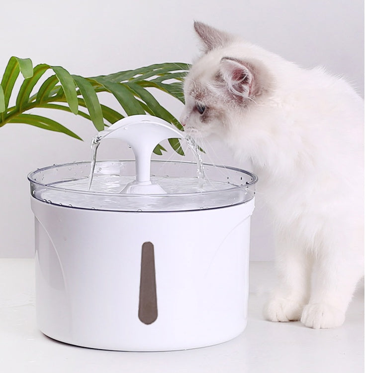 Dispensador de água para animais de estimação, filtro circulante automático inteligente