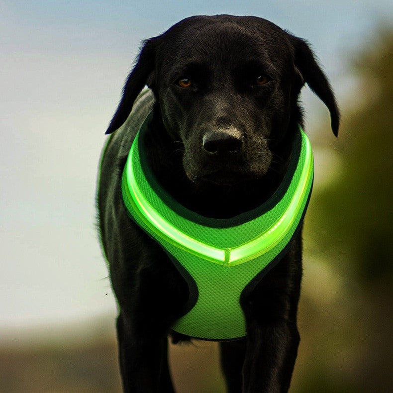 Peitoral luminoso LED para cães com carregamento USB, colete peitoral para cães