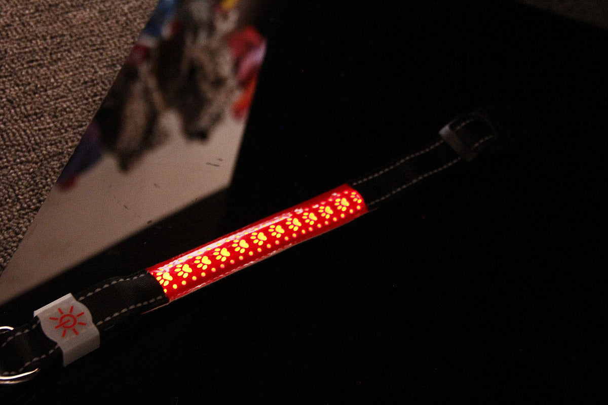 Coleira de couro gravada com LED luminoso para cães de estimação