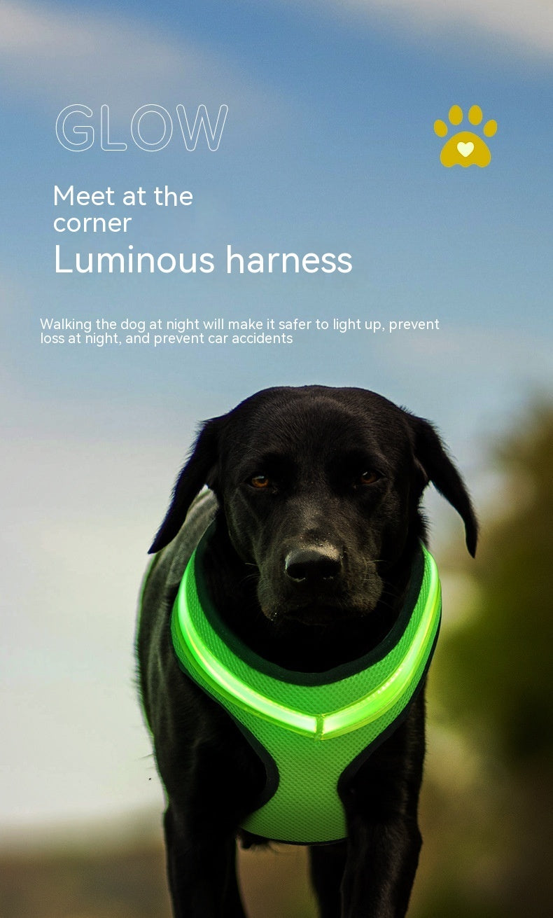 Peitoral luminoso LED para cães com carregamento USB, colete peitoral para cães