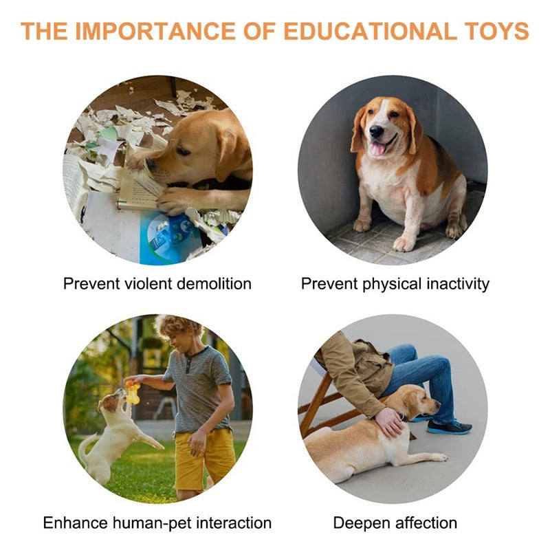Botão de comunicação para animais de estimação de 4 cores, com um clique, evita a inatividade física, botão de conversação para cães e gatos, brinquedo para animais de estimação