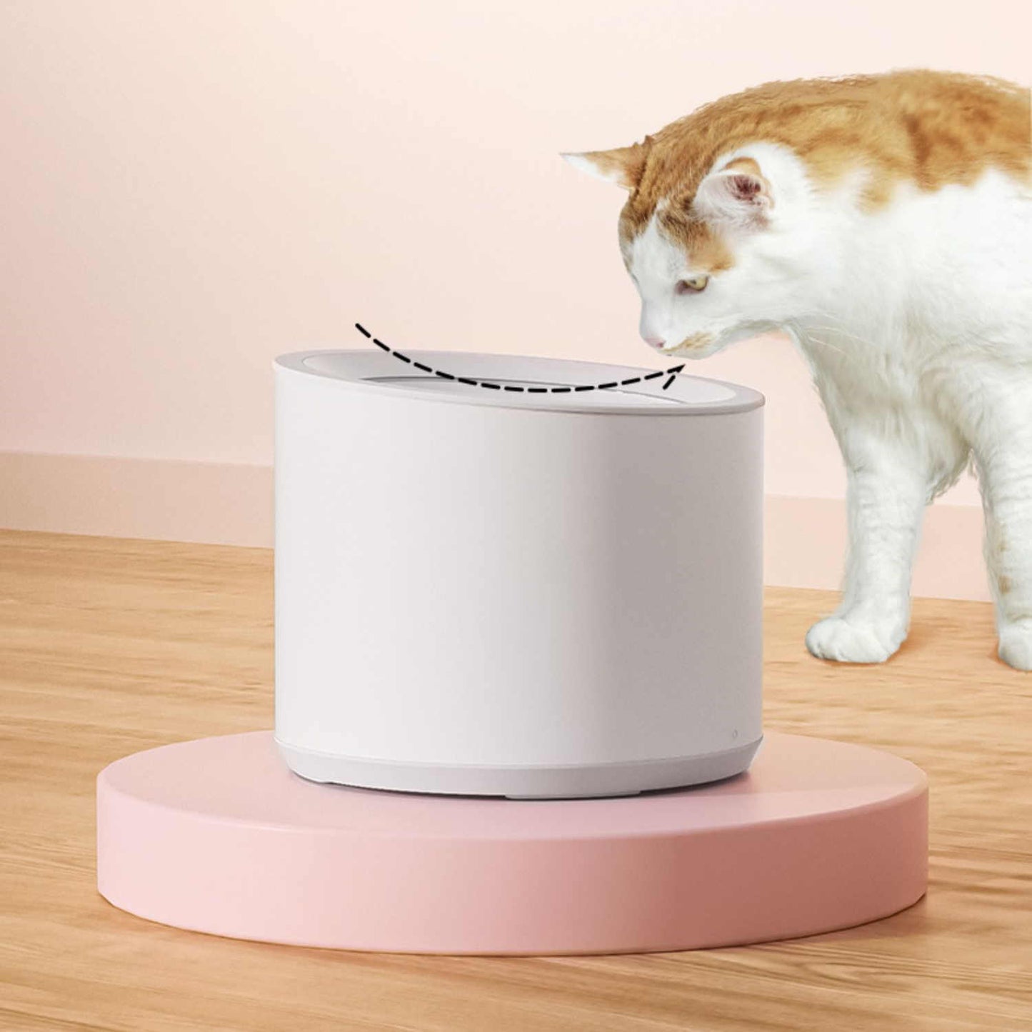 Dispensador de água inteligente para animais de estimação Lâmpada UV Filtração de circulação automática