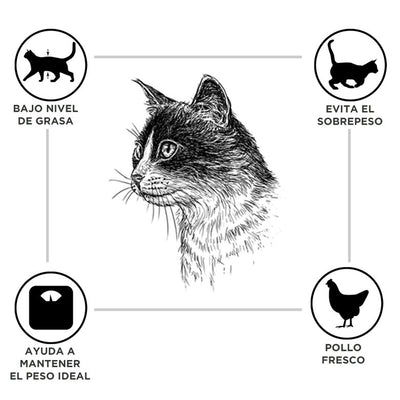 Criadores Adulto Esterilizado Frango ração para gatos