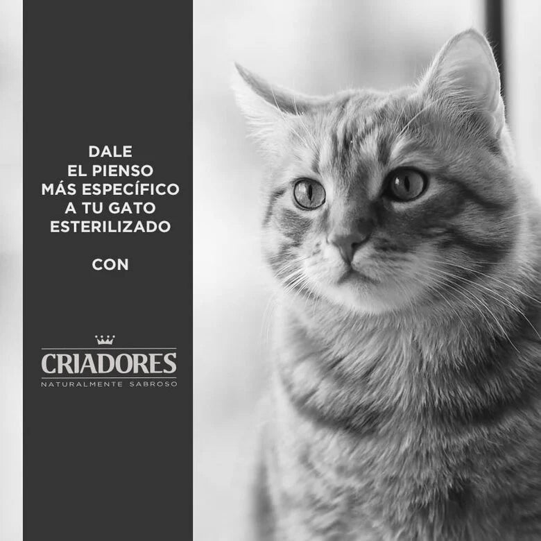 Criadores Adulto Esterilizado Frango ração para gatos