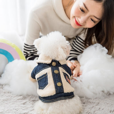 Roupas quentes e grossas para animais de estimação