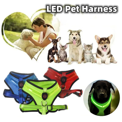 Peitoral luminoso LED para cães com carregamento USB, colete peitoral para cães