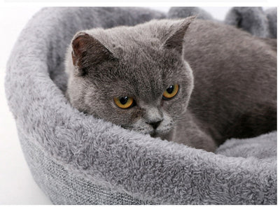 Cama macia e aconchegante gatos