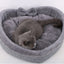Cama macia e aconchegante gatos