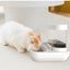 Taça de alimentação automática para gatos, taças para alimentação de cães e gatos, bebedouro para gatinhos, capacidade de 1,5 L, produtos para alimentação de cachorros