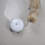 Brinquedo elétrico para gatos, inteligente, engraçado, bastão para gatos, donut, plataforma giratória automática