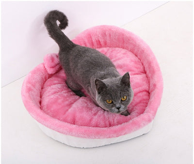 Cama macia e aconchegante gatos