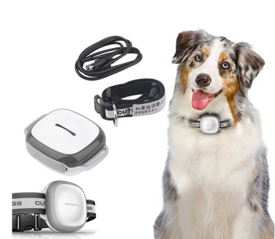 Localizador GPS de animais de estimação USB
