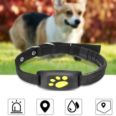 Rastreador GPS para animais de estimação prova água USB com mapa