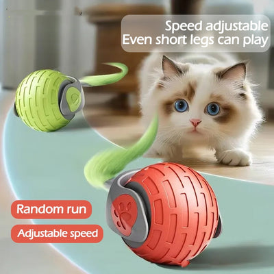 Brinquedos interativos para gatos, bola elétrica com rolamento automático.