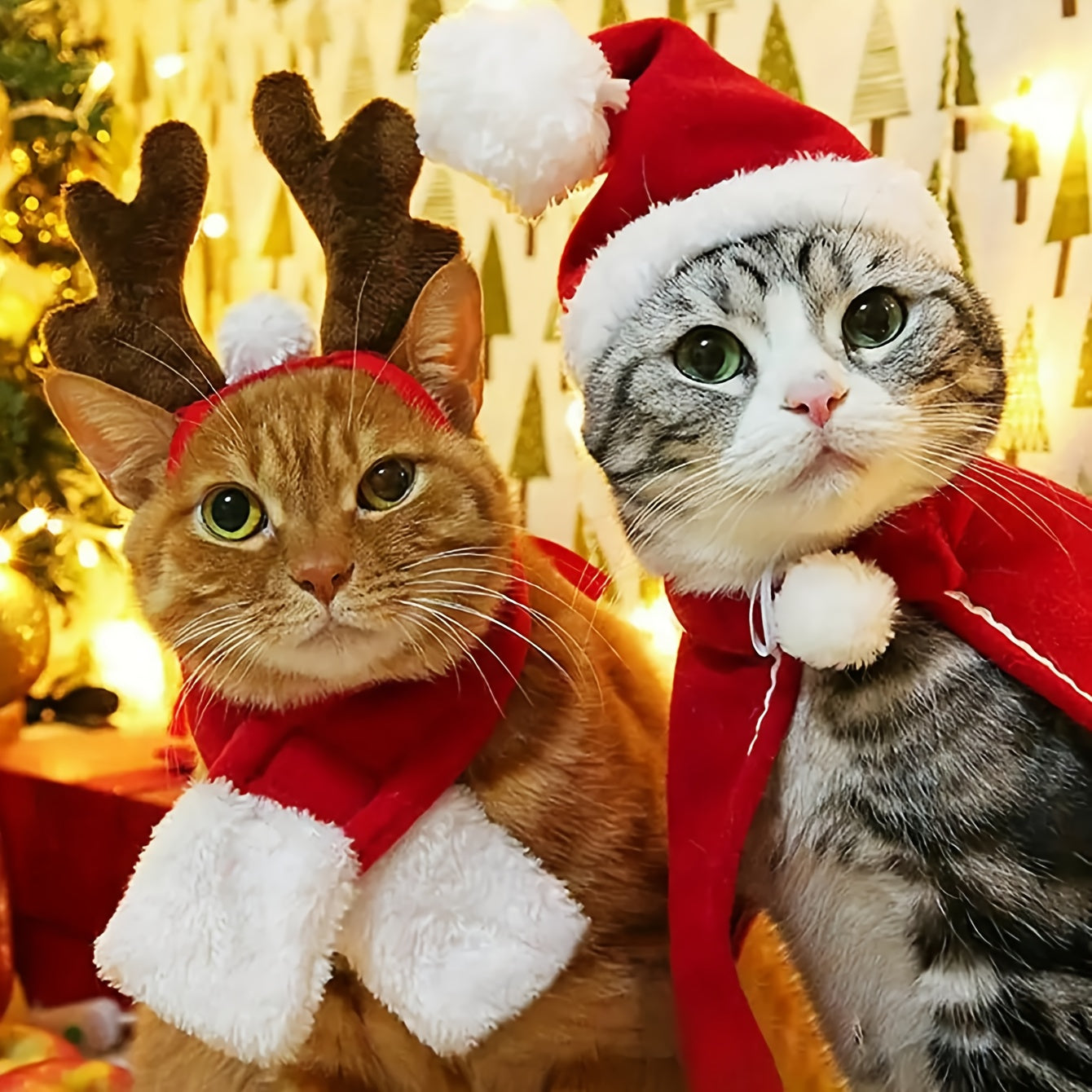 1/2pcs Conjunto de Decoração Natalina para Gatos, Chapéu Vermelho do Papai Noelo e Capa Aquecedor com Acessórios Tiara Antlerpara Filhotes .