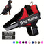 Arreio Refletivo Personalizável para Cães - Anti-Fuga, Colete de Peito Ajustável para Animais de Estimação com Nome e Número de Telefone Personalizados