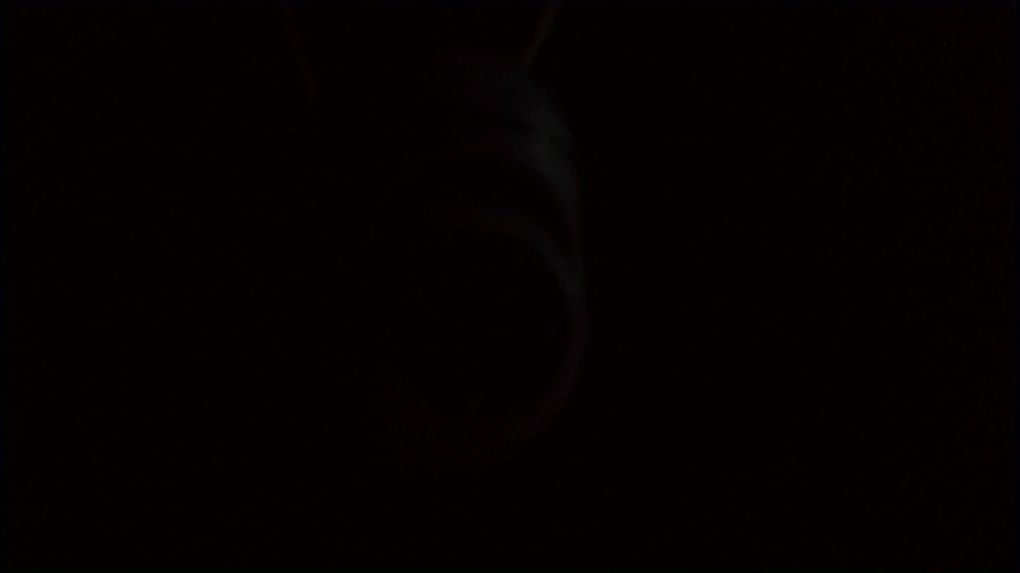 Câmera com visão noturna colorida sem fio WIFI 1080P Full HD Câmera interna/externa Áudio fio WIFI Pan/Tilt/Zoom 2.4G Wi-Fi Câmera de segurança residencial inteligente com rastreamento de movimento