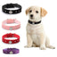Coleira de veludo confortável Diamond Crown Pet Supplies