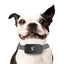 Treinador de cães Touch Bark Stop