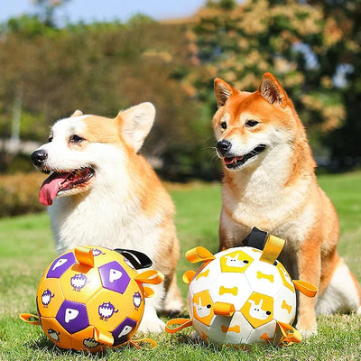 Brinquedos interativos para cães, bolas de futebol para crianças, treinamento ao ar livre, pet, mordida esportiva, mordedor, bola com estampa fofa