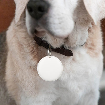 Localizador e Rastreador GPS para cães, gatos, animais de estimação, crianças, mini alarme anti-perda.