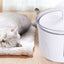 Dispensador de água para animais de estimação, filtro circulante automático inteligente