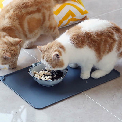 Tapete impermeável para cães e gatos