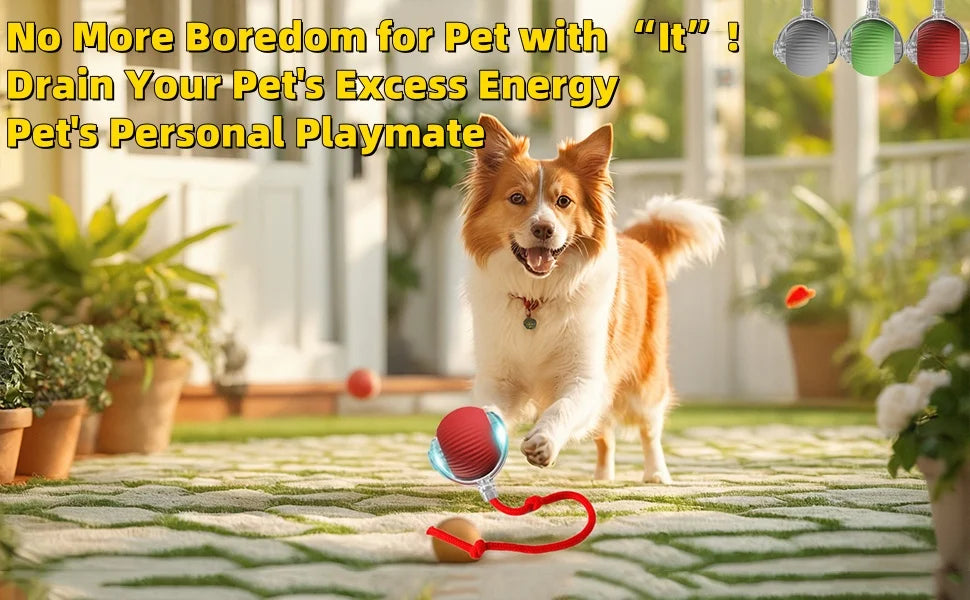 Conj. 3 Bolas interativa automática recarregável para gatos com cauda artificial, brinquedo inteligente sem fio com sensor de movimento para gatos de interior.