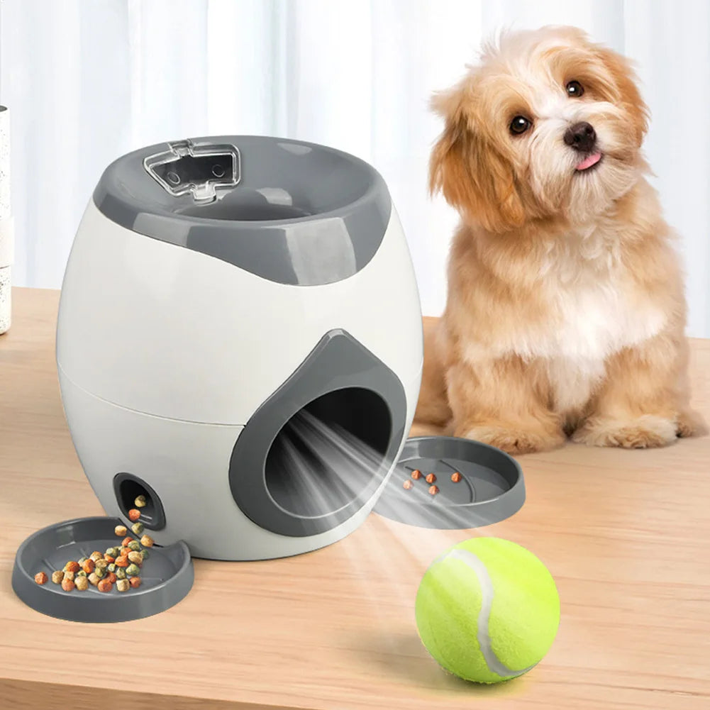 Lançador automático de bolas para cães, lento para cães de pequeno e médio porte.